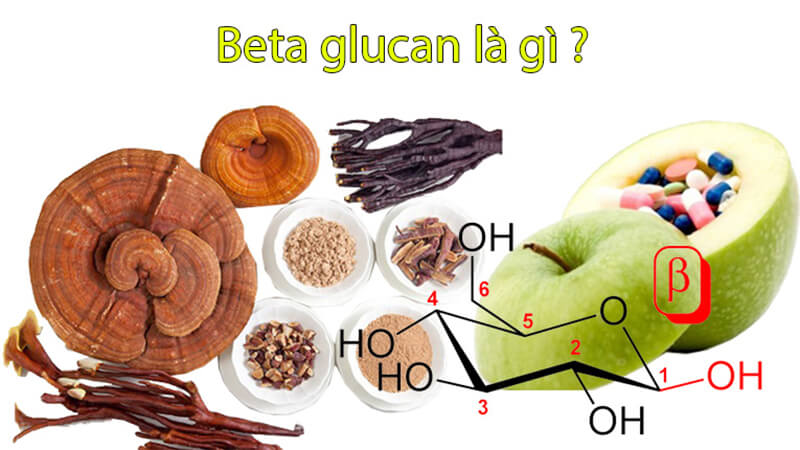 Beta glucan là gì - thực phẩm chức năng vip - droppiishops